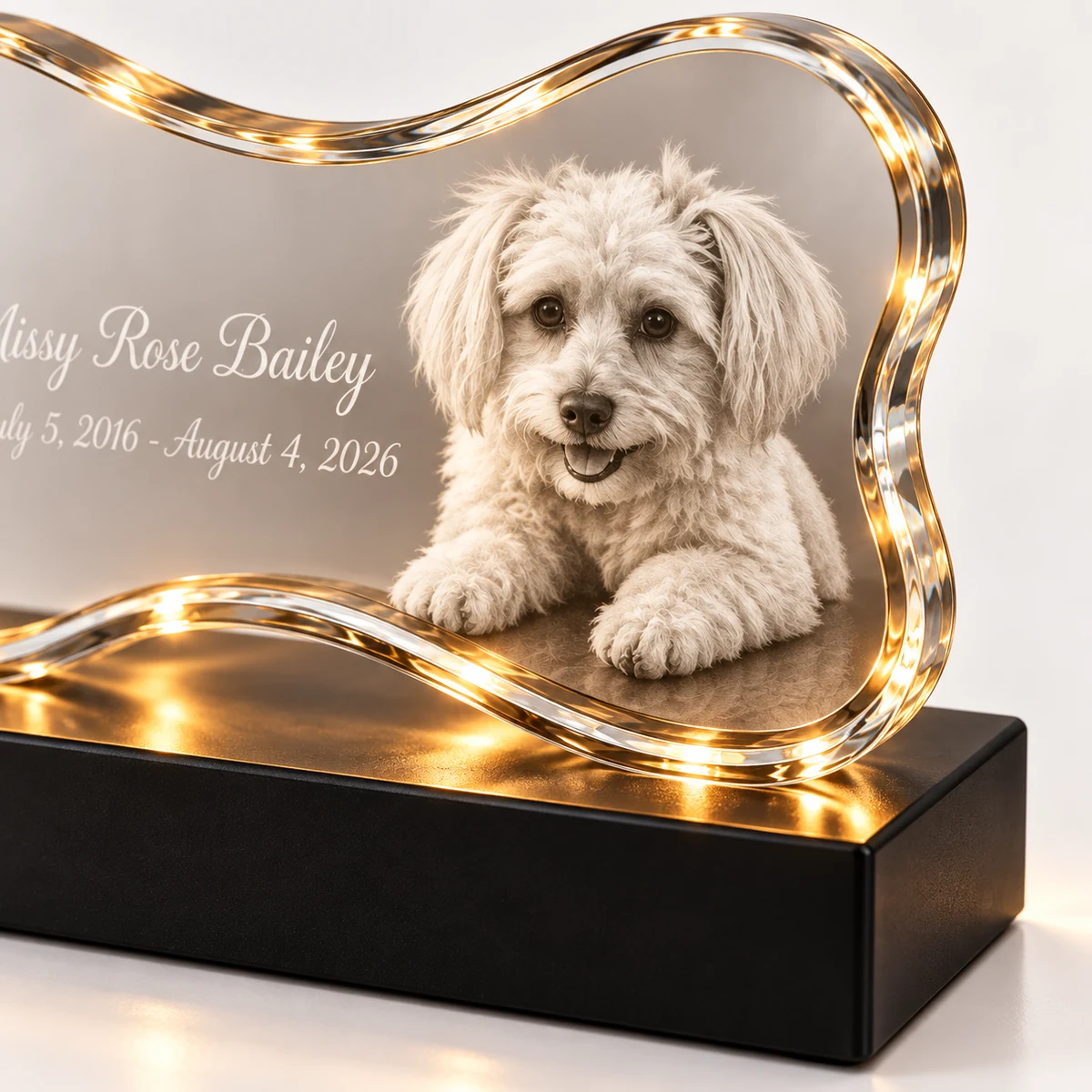 Close view of the pet portrait and polished edge on a bone-shaped crystal lamp