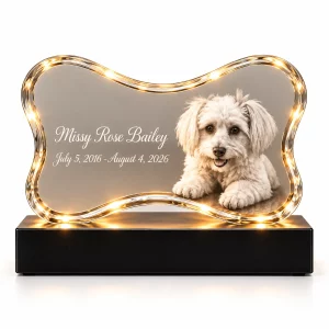 Front view of a bone-shaped illuminated crystal with an example dog portrait