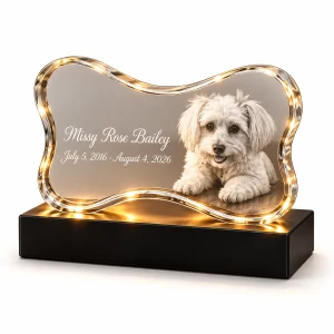 Bone-shaped pet memorial crystal lamp with a sample dog portrait and illuminated black base
