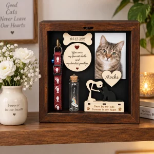 Cat memorial shadow box displayed on an indoor remembrance shelf