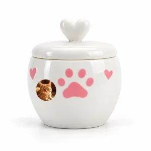 Heart-lid ceramic urn with pink paw and small sample cat portrait