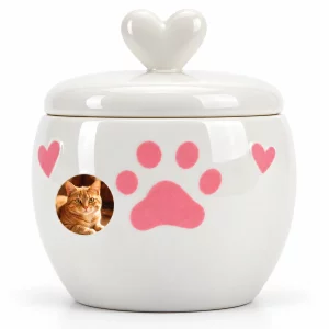 Close view of the white heart lid, pink paw and sample cat portrait