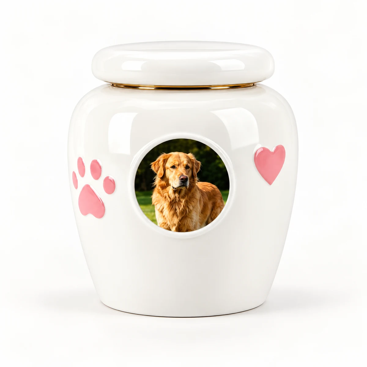 White ceramic pet photo urn with a sample golden retriever portrait, pink paw and heart