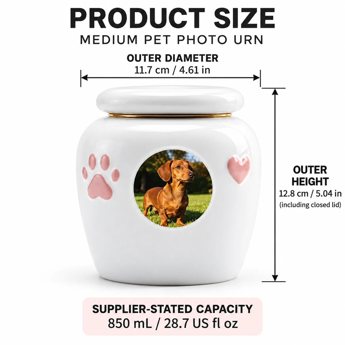 Medium ceramic pet photo urn size: 11.7 cm diameter, 12.8 cm high, supplier-stated 850 mL capacity