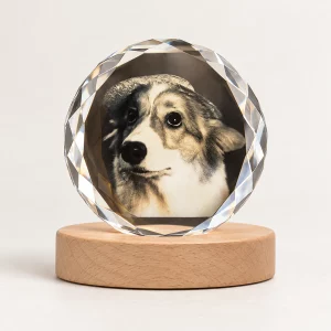 Personalized round crystal dog portrait lamp on a wooden base with the light switched off
