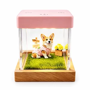 Personalized Pet Hologram Memory Display Box, pink color