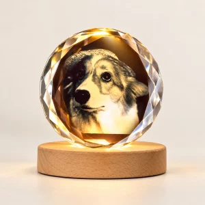 Personalized pet memorial crystal photo lamp lit on a wooden base against a light background