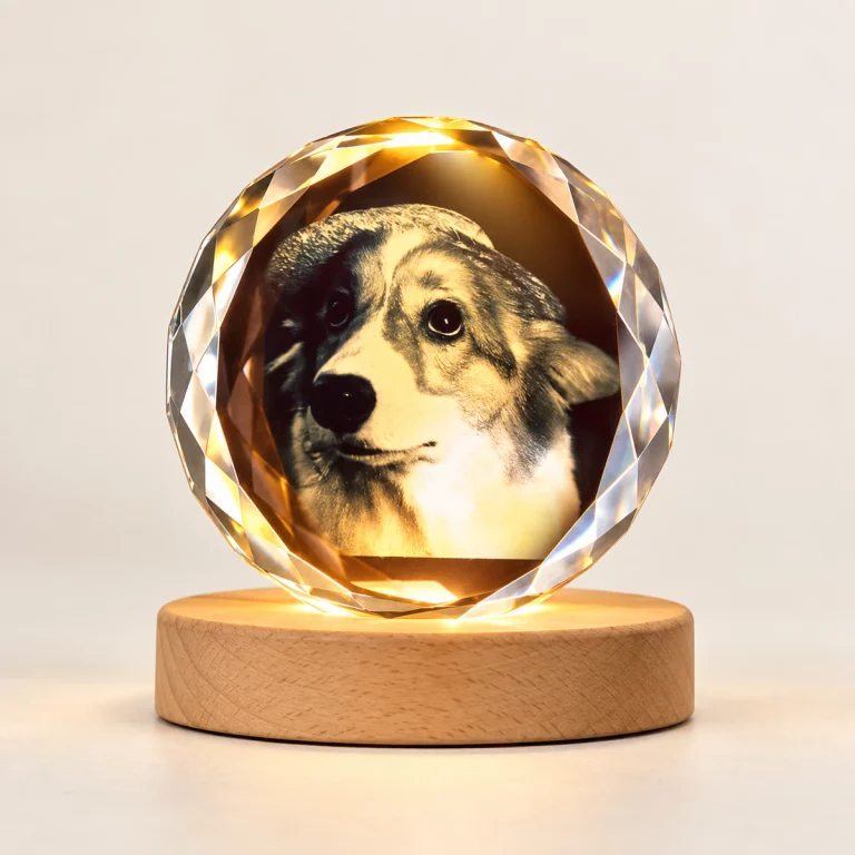 Personalized pet memorial crystal photo lamp lit on a wooden base against a light background