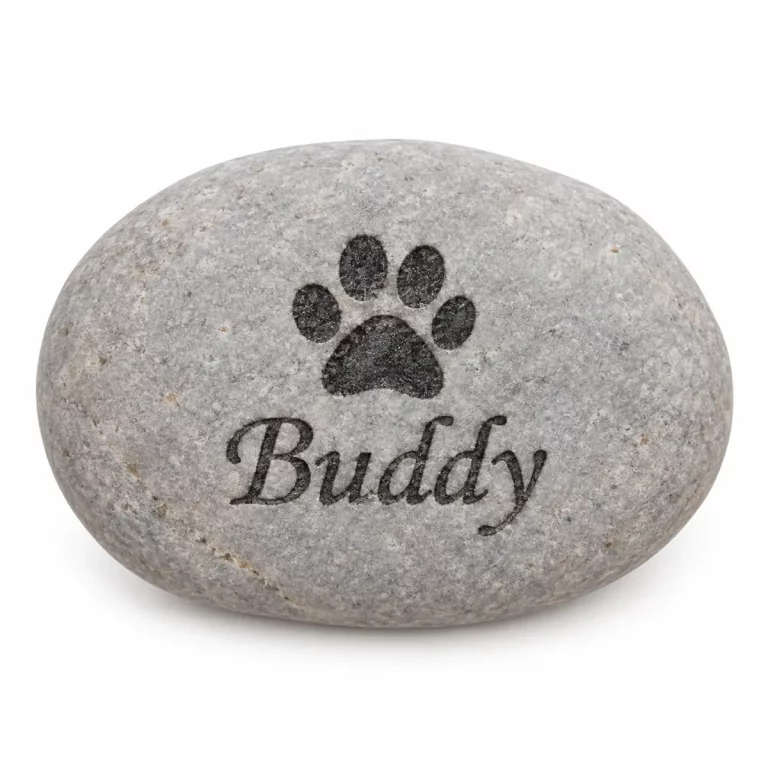 Natural light gray pet memorial pebble with a sample paw print and Buddy name