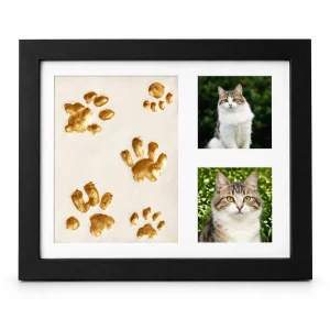 Pet Clay Paw Print Frame with Two Photo Windows, black finish