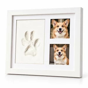 Pet Clay Paw Print Frame with Two Photo Windows, front view on white