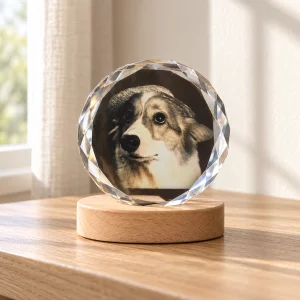 Round crystal pet portrait lamp with the light off on a wooden console beside a window