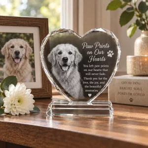 Pet photo crystal heart on indoor remembrance shelf beside dog photo