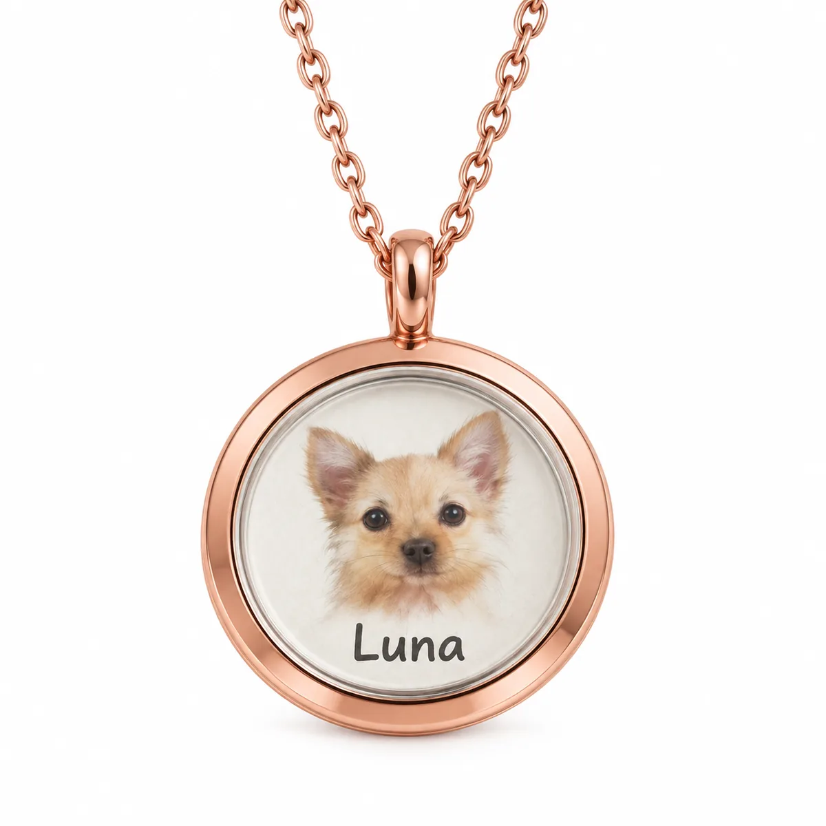 Pet Portrait and Fur Keepsake Locket Necklace, rose gold color