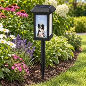 Photo-panel solar pet memorial light in a flower garden in daylight