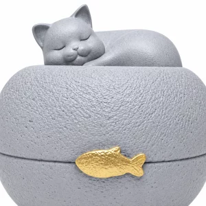 Close view of the sleeping cat, textured gray surface and gold fish accent