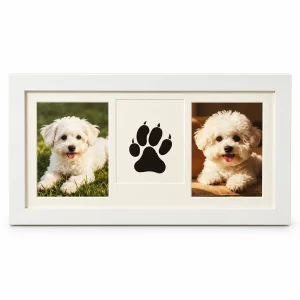 Three-Window Pet Memorial Frame with Paw Print Kit, front view on white