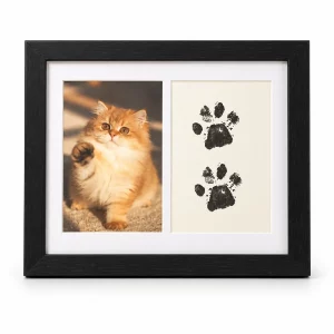 Two-Window Pet Memorial Frame with Paw Print Display, black finish