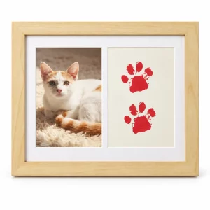 Two-Window Pet Memorial Frame with Paw Print Display, front view on white