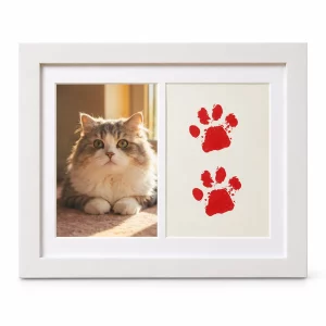 Two-Window Pet Memorial Frame with Paw Print Display, white finish